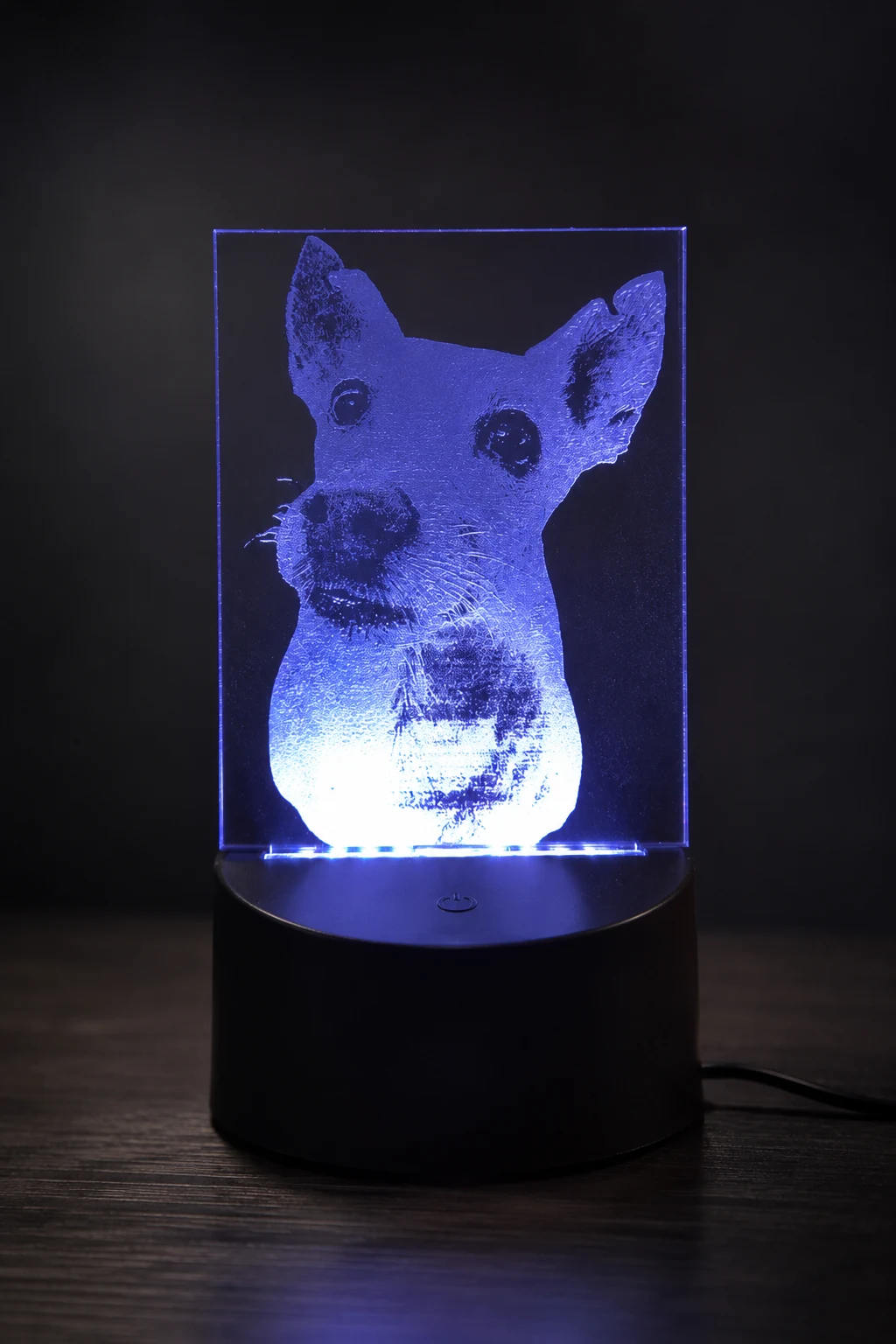 Personalised acrylic LED lamp engraved with a dog photograph and illuminated in blue and white