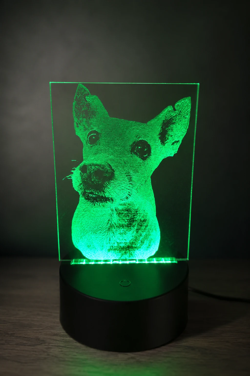 Personalised dog photo acrylic LED lamp illuminated in green