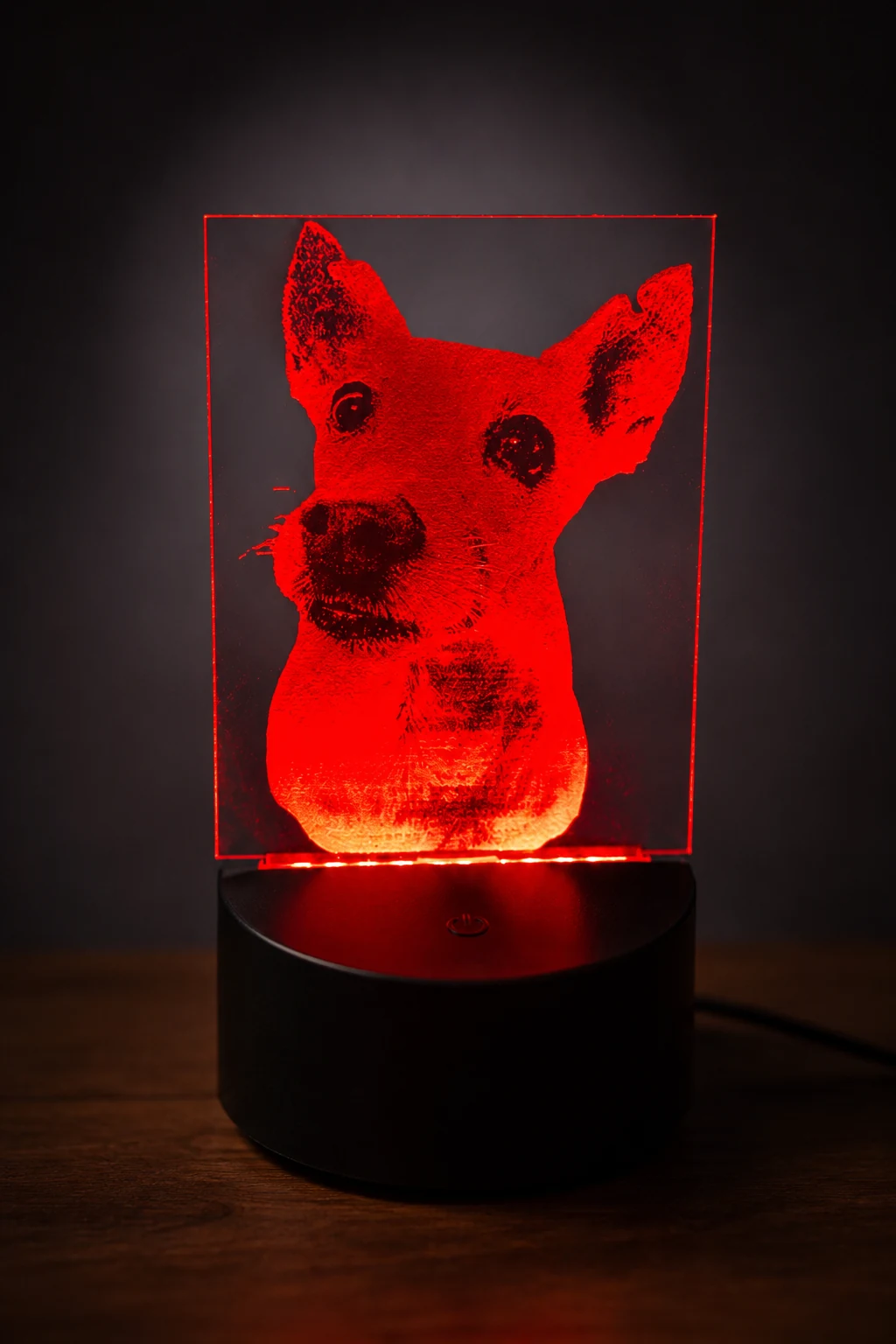 Personalised dog photo acrylic LED lamp illuminated in red